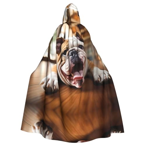 Lustiger Hexenumhang mit englischer Bulldogge, Halloween, Weihnachten, Karneval, Cosplay, Kostüm, Party, Umhang, Schwarz Lustiger Hexenumhang mit englischer Bulldogge, Halloween, Weihnachten, Karneval, Cosplay, Kostüm, Party, Umhang, Schwarz von HDSKFNS