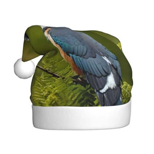 Niedliche Vogel-Weihnachtsmütze, Weihnachtsmannmütze, Kostüm, Zubehör für Weihnachten, Neujahr, Urlaub, Party, Kopfbedeckung Niedliche Vogel-Weihnachtsmütze, Weihnachtsmannmütze, Kostüm, Zubehör für Weihnachten, Neujahr, Urlaub, Party, Kopfbedeckung von HDSKFNS