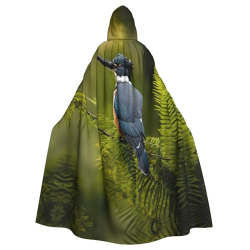 Niedlicher Hexenumhang für Halloween, Weihnachten, Karneval, Cosplay, Kostüm, Party, Umhang, Schwarz Niedlicher Hexenumhang für Halloween, Weihnachten, Karneval, Cosplay, Kostüm, Party, Umhang, Schwarz von HDSKFNS