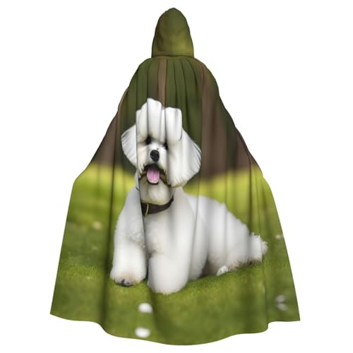 Süßer Bichon Frisé-Hunde-Umhang für Halloween, Weihnachten, Hexenumhang, Karneval, Cosplay, Kostüm, Party, Umhang, Schwarz Süßer Bichon Frisé-Hunde-Umhang für Halloween, Weihnachten, Hexenumhang, Karneval, Cosplay, Kostüm, Party, Umhang, Schwarz von HDSKFNS
