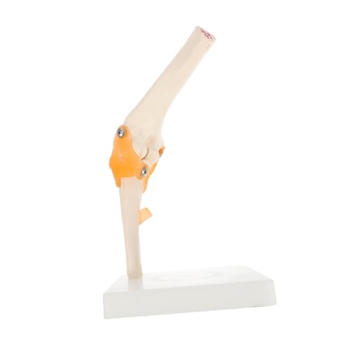 HEALEEP 1 Stück Skelettmodell Ellenbogengelenk modelliert den menschlichen Körper Anatomiemodell des menschlichen Körpers anatomisches Modell Menschliches Gelenkmodell PVC HEALEEP 1 Stück Skelettmodell Ellenbogengelenk modelliert den menschlichen Körper Anatomiemodell des menschlichen Körpers anatomisches Modell Menschliches Gelenkmodell PVC von HEALEEP