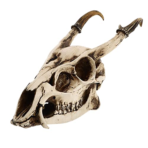 HEALEEP Kreatives Ziegenschädel Modell aus Kunstharz Realistische Dekoration für Aquarien und Tisch Schickes Modell für Halloween und Heimgestaltung HEALEEP Kreatives Ziegenschädel Modell aus Kunstharz Realistische Dekoration für Aquarien und Tisch Schickes Modell für Halloween und Heimgestaltung von HEALEEP