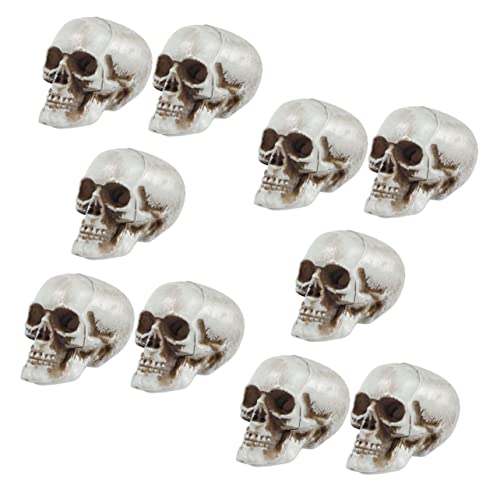 HEALEEP 10Stücke Teiliges Realistischer Skelette für Halloween Dekoration Gruselige Schädel Requisiten für Zuhause Bars und Partys Perfektes Ornament für Schaurige von HEALEEP