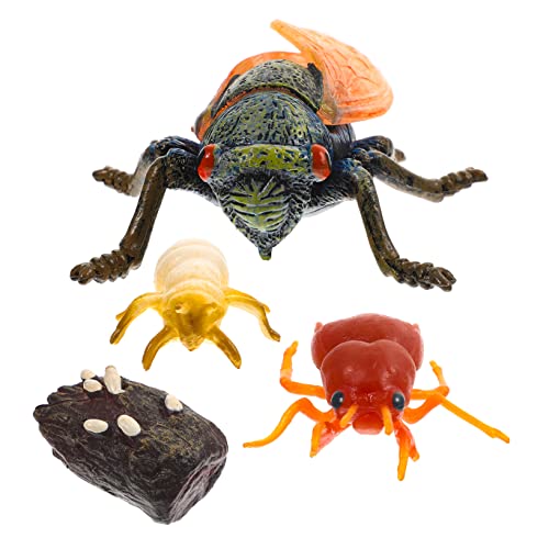 HEALEEP 1Satz Simulationsmodell des Zikadenwachstumszyklus Bildungsbedarf für Realistisches Insektenanzeigemodell Naturerkundung und Vorstellungskraft Hochwertiges von HEALEEP