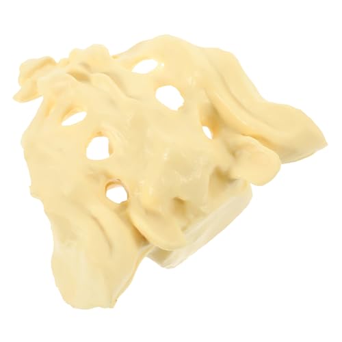 HEALEEP 1pc Sacrum Bone Anatomy Model Medizinisches Sacrum Anatomisches Modell Für Krankenhäuser HEALEEP 1pc Sacrum Bone Anatomy Model Medizinisches Sacrum Anatomisches Modell Für Krankenhäuser von HEALEEP
