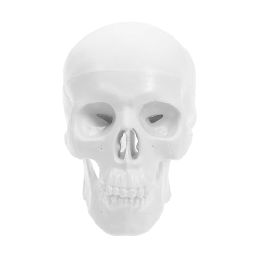 HEALEEP Anatomisches Mini Schädelmodell Abnehmbares Menschliches Schädelmodell für Medizinische und Künstlerische Zwecke für Lernräume und Halloween Dekoration HEALEEP Anatomisches Mini Schädelmodell Abnehmbares Menschliches Schädelmodell für Medizinische und Künstlerische Zwecke für Lernräume und Halloween Dekoration von HEALEEP