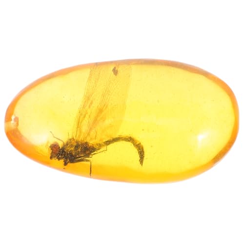 HEALEEP Insect Sample Kunstvolles Insektenspezimen für Home Decor Libelle Einzigartiges Dekorationsstück mit Natürlicher Schönheit ca Ergänzung für Sammlungen Stilvolle Räume HEALEEP Insect Sample Kunstvolles Insektenspezimen für Home Decor Libelle Einzigartiges Dekorationsstück mit Natürlicher Schönheit ca Ergänzung für Sammlungen Stilvolle Räume von HEALEEP