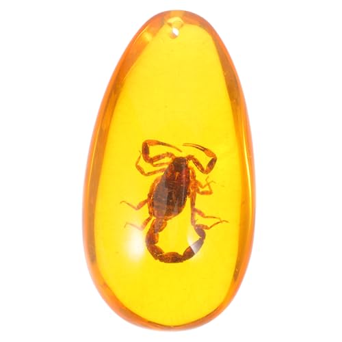 HEALEEP Künstliches Insektensample aus Dekorationsstück Hochwertiges für Stilvolle Wohnräume Sammlungen für Besondere Anlässe HEALEEP Künstliches Insektensample aus Dekorationsstück Hochwertiges für Stilvolle Wohnräume Sammlungen für Besondere Anlässe von HEALEEP