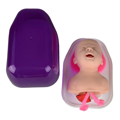 HEALEEP Lehrmodell Zur Von Babys Für Die Orale Und Nasale Behandlung, Pvc-trachealintubationssimulator, Ideal Für Schulungen Und Naturwissenschaftliche Ausbildung HEALEEP Lehrmodell Zur Von Babys Für Die Orale Und Nasale Behandlung, Pvc-trachealintubationssimulator, Ideal Für Schulungen Und Naturwissenschaftliche Ausbildung von HEALEEP