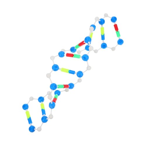HEALLILY DNA-Modell Für Studenten, Helix-strukturmodell Für Genetik Und Molekularbiologie, Pädagogisches Werkzeug Für Klassenzimmer Und Labor HEALLILY DNA-Modell Für Studenten, Helix-strukturmodell Für Genetik Und Molekularbiologie, Pädagogisches Werkzeug Für Klassenzimmer Und Labor von HEALLILY
