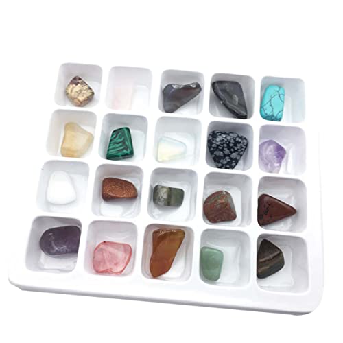 HEALSOPTHY 1 Kasten 20 Steinsammlung Edelsteine zum Basteln Steinerne Exemplare Mineralische Steinproben Sammlung Von Natursteinen HEALSOPTHY 1 Kasten 20 Steinsammlung Edelsteine zum Basteln Steinerne Exemplare Mineralische Steinproben Sammlung Von Natursteinen von HEALSOPTHY