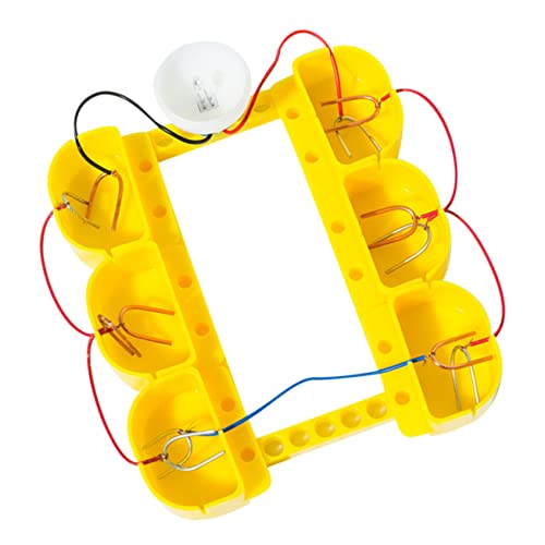 HEALSOPTHY 1 Satz Fruchtbatterie Experimentierkasten Physikspielzeug für Lehrreiches Wissenschaftsset für Experimente Fördert Entdeckung und Handwerkliche Fähigkeiten für Bildung und Spaß von HEALSOPTHY