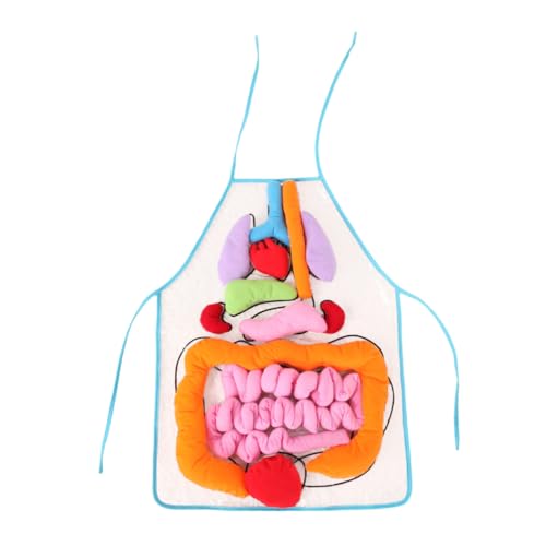 HEALSOPTHY 1 Satz Lernspielzeug wissenschaftliche menschliche Schürze menschliche anatomie für Körperteile Schürze Körperschürze Kinderspielzeug Lehrmittel PP Baumwolle HEALSOPTHY 1 Satz Lernspielzeug wissenschaftliche menschliche Schürze menschliche anatomie für Körperteile Schürze Körperschürze Kinderspielzeug Lehrmittel PP Baumwolle von HEALSOPTHY