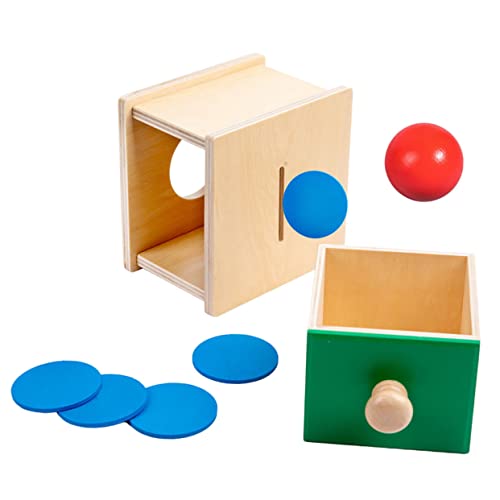 HEALSOPTHY 1 Satz Montessori Holzspielzeug und Kugelbox Sicheres Lernspielzeug für Junge Mädchen Ab Monaten Fördert Feinmotorik Hand Augen Koordination und Kreatives für Kleinkinder von HEALSOPTHY