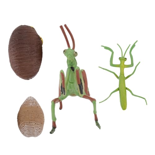HEALSOPTHY 1 Satz Wachstums Zyklus Modell Mantis-Modell Tiere Figur PVC HEALSOPTHY 1 Satz Wachstums Zyklus Modell Mantis-Modell Tiere Figur PVC von HEALSOPTHY