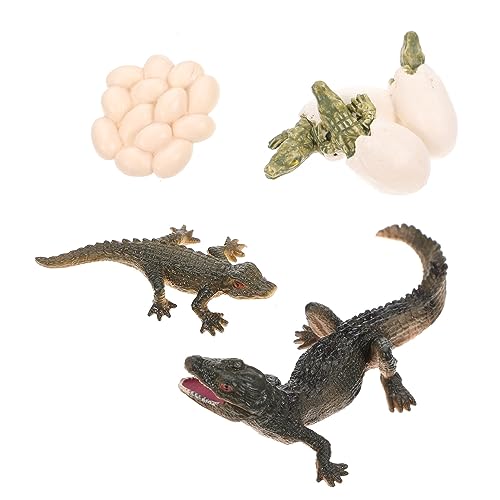 HEALSOPTHY 1 Set Wachstumszyklus Modell Tiere Wachstumsmodell Wachstumszyklus Figur Lebenszyklus Figur Der Früherziehung Requisite Lebenszyklus Figur Kunststoff von HEALSOPTHY