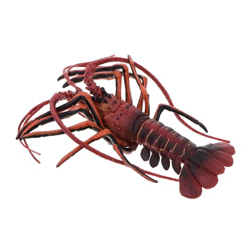 HEALSOPTHY 1 Stück Hummer-Modell Hummer Figur künstlicher Hummer Fälschung Simulation kinderknallzeug deko Home Tiermodell für Meerestier Modell Hummer Plastik rot HEALSOPTHY 1 Stück Hummer-Modell Hummer Figur künstlicher Hummer Fälschung Simulation kinderknallzeug deko Home Tiermodell für Meerestier Modell Hummer Plastik rot von HEALSOPTHY