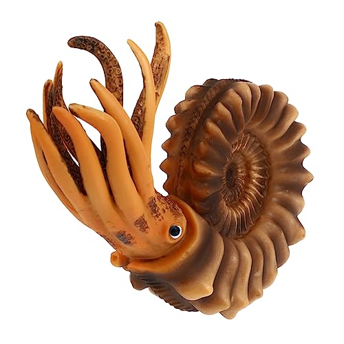 HEALSOPTHY 1 Stück Nautilus Modell Realistische Tierfigur aus Lernspielzeug für Desktop und Heimdekoration für Jungen von HEALSOPTHY