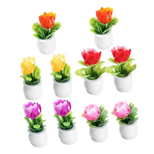 HEALSOPTHY 10 Pcs Mini Garten Bonsai Modelle Mini Decor Lebendige Und-fangen HEALSOPTHY 10 Pcs Mini Garten Bonsai Modelle Mini Decor Lebendige Und-fangen von HEALSOPTHY