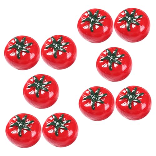 HEALSOPTHY 10 Stück Teiliges Mini Künstliche Tomaten aus Resin Lebensechte Deko Früchte Realistische Miniatur Tomaten Modelle für Puppenhaus Tischdekoration und Fotorequisiten Robustes von HEALSOPTHY