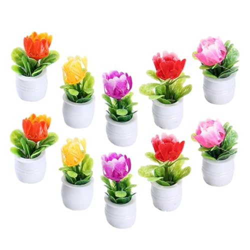 HEALSOPTHY 10 Stück Teiliges Miniatur Pflanzen Realistische Kleine Topfpflanzen Künstliche Mini Bonsai Puppenhaus Dekoration Geeignet für Mini Gärten und Zimmerdeko von HEALSOPTHY