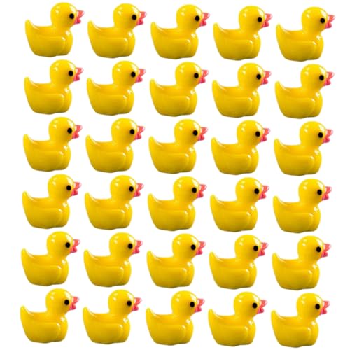 HEALSOPTHY 100 Stück Mini Resin Enten Figuren Niedliche Kleine Deko Figuren für Garten Aquarium DIY Mikro Landschaft Langlebige Tischdekoration Vielseitig Verwendbar von HEALSOPTHY