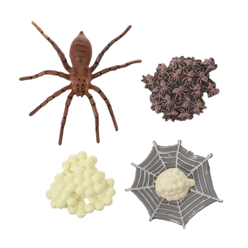HEALSOPTHY 1Satz Insekten Wachstumszyklus Modell Pädagogisches für Realistische Tiermodelle Lernspielzeug Tier und Lebenszykluskenntnis von HEALSOPTHY