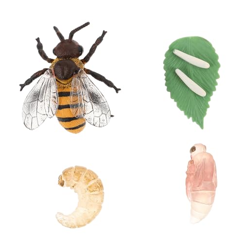 HEALSOPTHY 1Satz Künstliches Insektenmodell Honigbiene Pädagogisches Wachstumsmodell aus Strapazierfähigem für Biologischen Wissens und Lehrmittel HEALSOPTHY 1Satz Künstliches Insektenmodell Honigbiene Pädagogisches Wachstumsmodell aus Strapazierfähigem für Biologischen Wissens und Lehrmittel von HEALSOPTHY