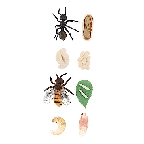 HEALSOPTHY 2 Sätze Miniatur Wachstumszyklus Modell Biene und Insekt Langlebiges Geruchsfreies Kunststoffspielzeug Edukatives Lernspielzeug für Realistische Lebenszyklus Figuren für von HEALSOPTHY