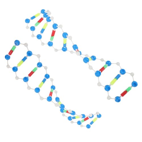 HEALSOPTHY 2 Stück DNA Modellbausatz Doppelhelix Struktur Wissenschaftliches Lehrmittel für Studenten Unterricht Molekularmodell Bausatz für Biologie Labor Experimente und Wissensvermittlung von HEALSOPTHY
