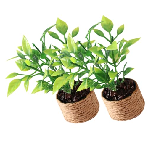 HEALSOPTHY 2 Stück Mini-Orangenbaum Herzstück Tischdekoration Mittelstücke für Tische Wohnkultur Miniaturspielzeug 1: 12 Hauszubehör Mini- Miniatur-Dekorationen winzige Dinge Plastik HEALSOPTHY 2 Stück Mini-Orangenbaum Herzstück Tischdekoration Mittelstücke für Tische Wohnkultur Miniaturspielzeug 1: 12 Hauszubehör Mini- Miniatur-Dekorationen winzige Dinge Plastik von HEALSOPTHY