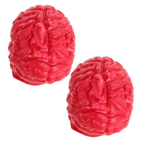 HEALSOPTHY 2 Stück Realistische Halloween Deko Gefälschte Menschliche Gehirne Party Requisiten Detailgetreue Fake Organe für Innen und Außenbereich Langlebig und Fälschungssicher für von HEALSOPTHY