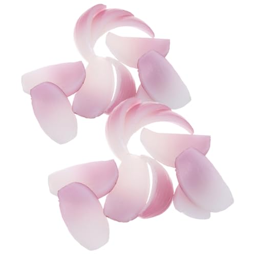 HEALSOPTHY 20 Stück Teiliges Realistisches Zwiebelmodell aus Langlebigem Künstliche Zwiebelscheiben Vielseitige Dekoration für Party Restaurant und Küchenfenster Pflegeleicht und Detailgetreu HEALSOPTHY 20 Stück Teiliges Realistisches Zwiebelmodell aus Langlebigem Künstliche Zwiebelscheiben Vielseitige Dekoration für Party Restaurant und Küchenfenster Pflegeleicht und Detailgetreu von HEALSOPTHY