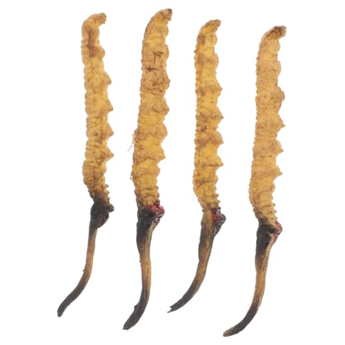 HEALSOPTHY 4 Stück Cordyceps -Modell Arztkoffer Arzt Rollenspiel Requisiten Modell Der Chinesischen Medizin Arztzubehör Medizinische Spielzeugartikel Plastik HEALSOPTHY 4 Stück Cordyceps -Modell Arztkoffer Arzt Rollenspiel Requisiten Modell Der Chinesischen Medizin Arztzubehör Medizinische Spielzeugartikel Plastik von HEALSOPTHY