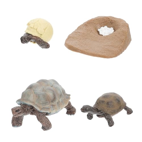 HEALSOPTHY 4 Stück Teiliges Schildkröten Lebenszyklus Figuren Realistische Wachstumszyklus Modelle Pädagogische Tierfiguren für Leichte Deko Ornamente Bunte Farbauswahl Zufällige Farbe von HEALSOPTHY