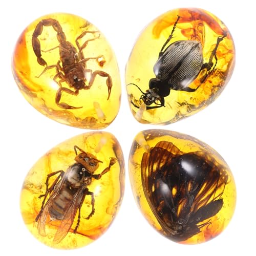 HEALSOPTHY 4 Stücke Insekten Probe Hand Ornament Tier Bernstein von HEALSOPTHY