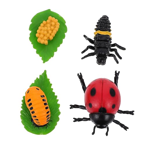 HEALSOPTHY 4Stücke Teiliges Insektenfiguren Lebenszyklus von Marienkäfern Lernspielzeug für Wachstumszyklus Modell Hochwertiges Kunststoffmaterial Kindergeschenk HEALSOPTHY 4Stücke Teiliges Insektenfiguren Lebenszyklus von Marienkäfern Lernspielzeug für Wachstumszyklus Modell Hochwertiges Kunststoffmaterial Kindergeschenk von HEALSOPTHY