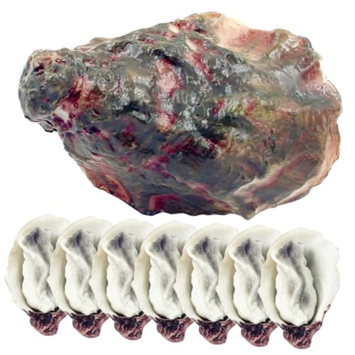 HEALSOPTHY 8 Stck Teiliges Künstliches Austernmodell aus Langlebigem PVC Realistisch Detailliert Küchen Deko und Food Display Requisite für Restaurant Fotografie und Puppenhaus von HEALSOPTHY