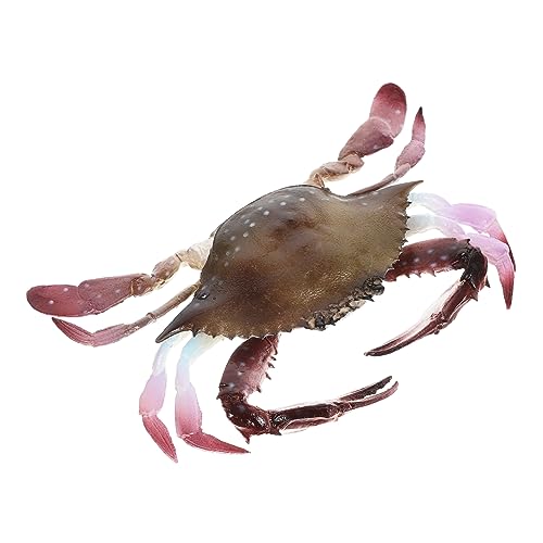 HEALSOPTHY Lebensechte Krabbenfigur Künstliches Meerestier Spielzeug Realistische Krabbe aus PVC Dekoratives Aquarien Ornament für Kinder Lernspielzeug für Strand und Poolspielzeug von HEALSOPTHY