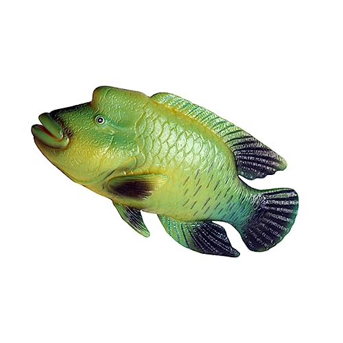 HEALSOPTHY Künstliches Humphead Wrasse Modell Realistisches Kunststoff Fischmodell für Aquariumdekoration und Frühkindliche Bildung Langlebig und Sicher für Deko HEALSOPTHY Künstliches Humphead Wrasse Modell Realistisches Kunststoff Fischmodell für Aquariumdekoration und Frühkindliche Bildung Langlebig und Sicher für Deko von HEALSOPTHY