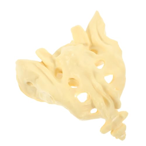 HEALSOPTHY Lebensgroßes Menschliches Kreuzbein Modell aus Bruchsicherem PVC Anatomisches Sacrum Skelett Modell für Medizinische Ausbildung Patientenorientierte Erklärung Tragbar und Leicht von HEALSOPTHY