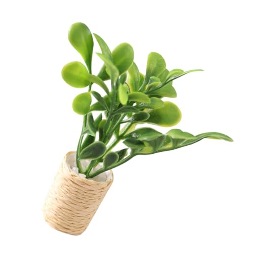 HEALSOPTHY Mini-Modellbaum klein Miniatur-Garten-Bonsai-Dekoration Tür Büschel puppenhaus Pflanzen grünpflanze Desktop-Ornamente für zu Hause Garten Bonsai Modell Plastik Green HEALSOPTHY Mini-Modellbaum klein Miniatur-Garten-Bonsai-Dekoration Tür Büschel puppenhaus Pflanzen grünpflanze Desktop-Ornamente für zu Hause Garten Bonsai Modell Plastik Green von HEALSOPTHY