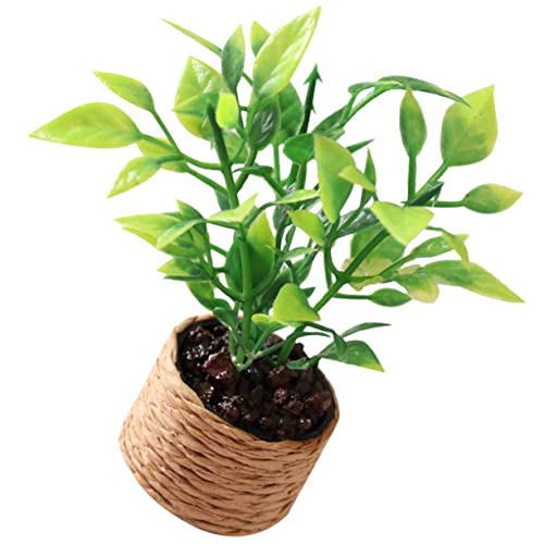 HEALSOPTHY Miniatur Orangenbaum Modell Pflanze Kunststoff Bonsai Mini Pflanzen Topf Puppenhaus Deko Kleine Gartenfigur Micro Landschaftsdeko von HEALSOPTHY