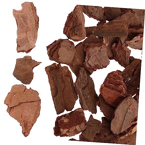 HEALSOPTHY Modellbaumaterial DIY Sandtisch Baumrinde Naturdeko Miniaturlandschaft Basteln Zubehör von HEALSOPTHY