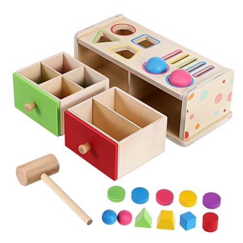 HEALSOPTHY Montessori Lernspielzeug Holz Farb und Formsortierbox für Interaktives Steckspiel zur Feinmotorik Farben und Formenlernen Geeignet für Vorschule und Kleinkinder von HEALSOPTHY