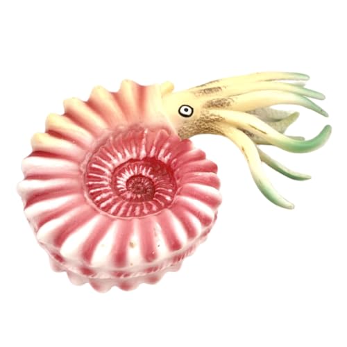 HEALSOPTHY Nautilus-Modell Simulation Von Tierspielzeug Tierisches Meerestiere Nautilus-Dekoration Desktop - Kinderspielzeug Simulation Meerestier Tiermodell Plastik Rosa von HEALSOPTHY