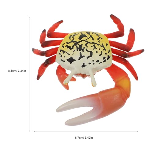 HEALSOPTHY Realistische Künstliche Krabbenfigur aus Detailgetreues Meeres tiermodell Pädagogisches Lernspielzeug für Dekoratives Strandspielzeug HEALSOPTHY Realistische Künstliche Krabbenfigur aus Detailgetreues Meeres tiermodell Pädagogisches Lernspielzeug für Dekoratives Strandspielzeug von HEALSOPTHY