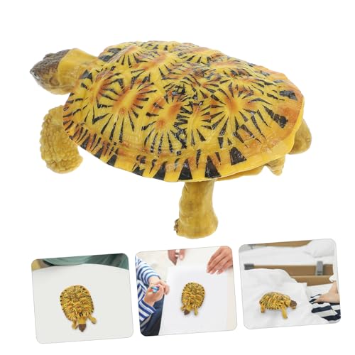 HEALSOPTHY Realistische Schildkrötenfigur aus Langlebigem Kunststoff Detailgetreues Simulationstiermodell als Kleines Tierdekor und Edukatives für Garten Schreibtisch und Kinderzimmer HEALSOPTHY Realistische Schildkrötenfigur aus Langlebigem Kunststoff Detailgetreues Simulationstiermodell als Kleines Tierdekor und Edukatives für Garten Schreibtisch und Kinderzimmer von HEALSOPTHY