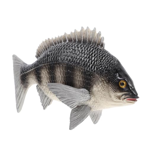HEALSOPTHY Realistisches Fischmodell aus Solidem Kunststoff Pädagogisches Meereslebewesen für Farbenfrohes Tiermodell zur Kognitiven und Dekoratives Desktop Accessoire HEALSOPTHY Realistisches Fischmodell aus Solidem Kunststoff Pädagogisches Meereslebewesen für Farbenfrohes Tiermodell zur Kognitiven und Dekoratives Desktop Accessoire von HEALSOPTHY