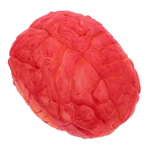 HEALSOPTHY Realistisches Halloween Deko Gehirn Blutiges Fake Organ Gruselige Körperteile Halloween Party Requisiten für Horror Haus Dekorationen und Cosplay von HEALSOPTHY